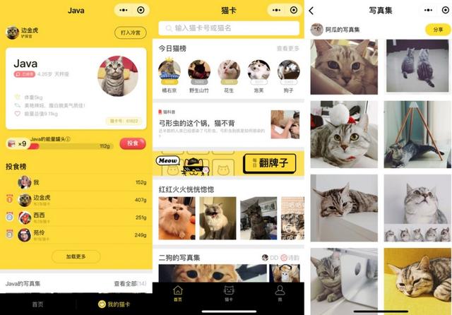 宠物小程序